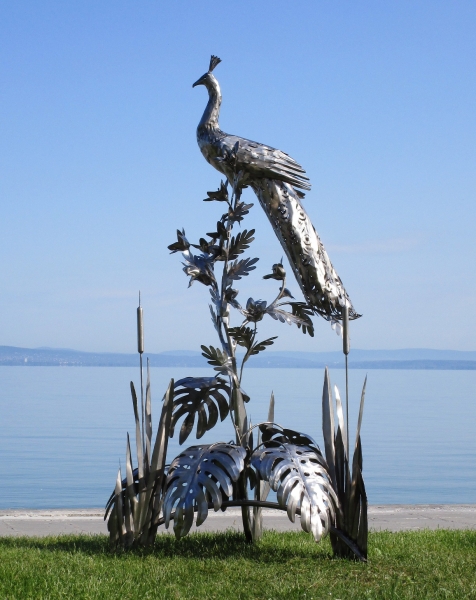 Big peacock garden sculpture rusty